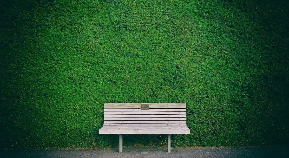 Banc blanc vide devant une haie taillée