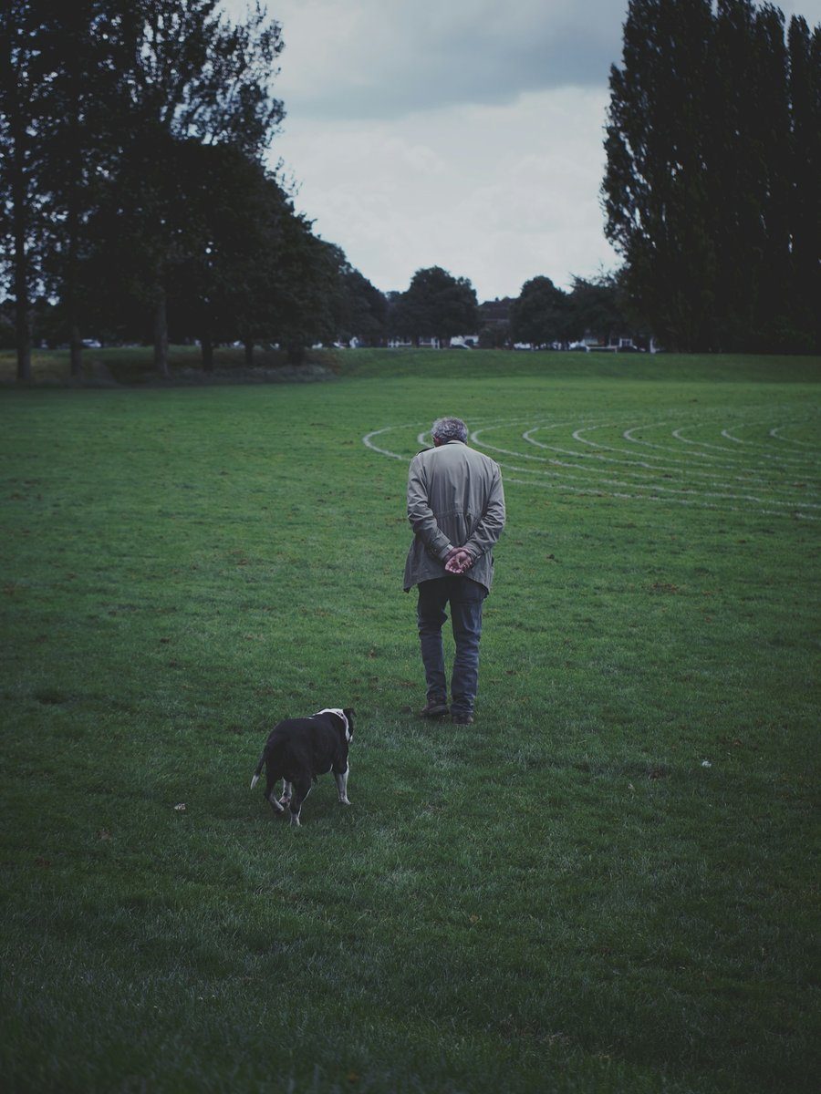 Personne de dos qui marche sur une pelouse avec un chien